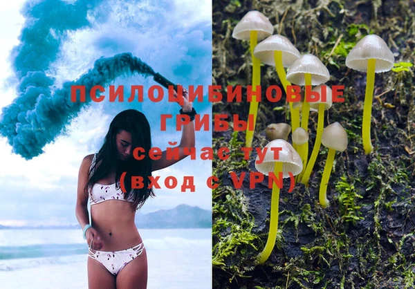 соль курить ск Волосово