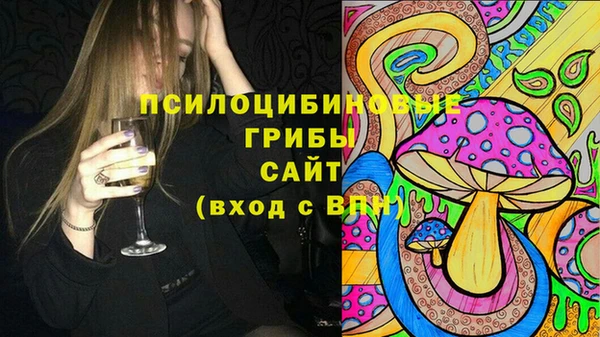 стаф Горно-Алтайск